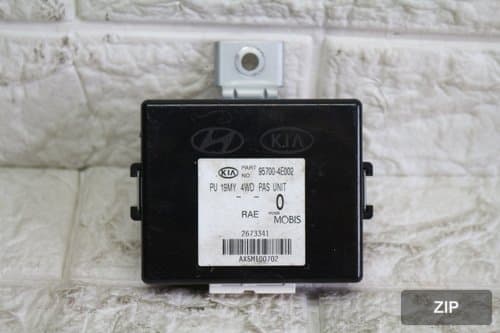 Блок RPAS для Bongo3 EV 95700-4E002