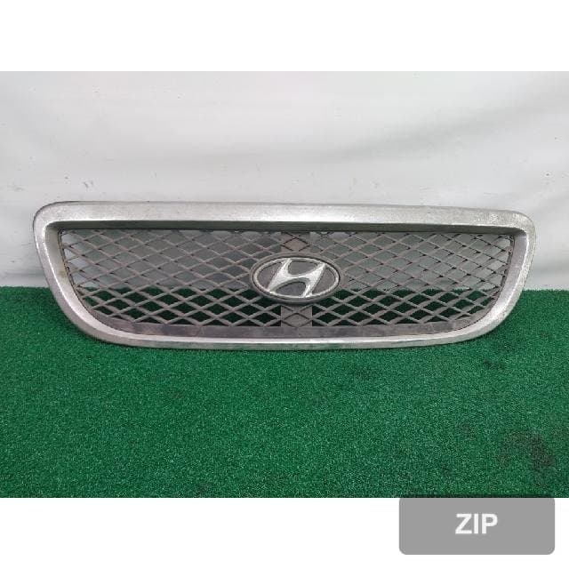 Hyundai Terracan 2003 — решётка радиатора