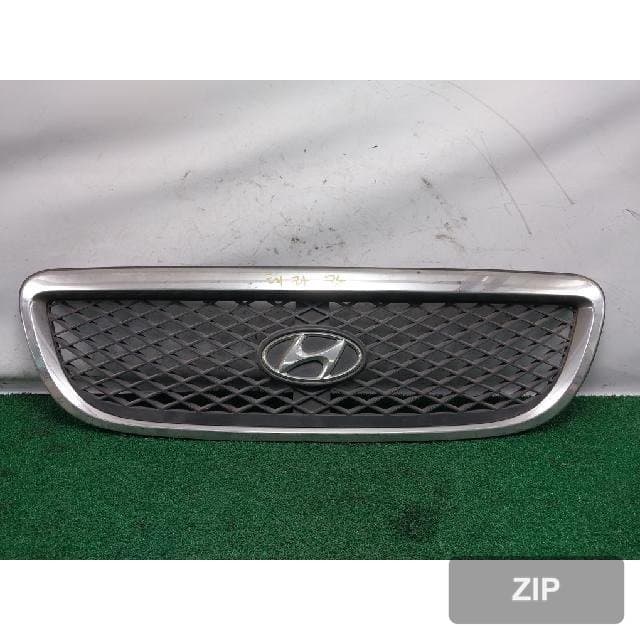 Hyundai Terracan 2003 — решётка радиатора