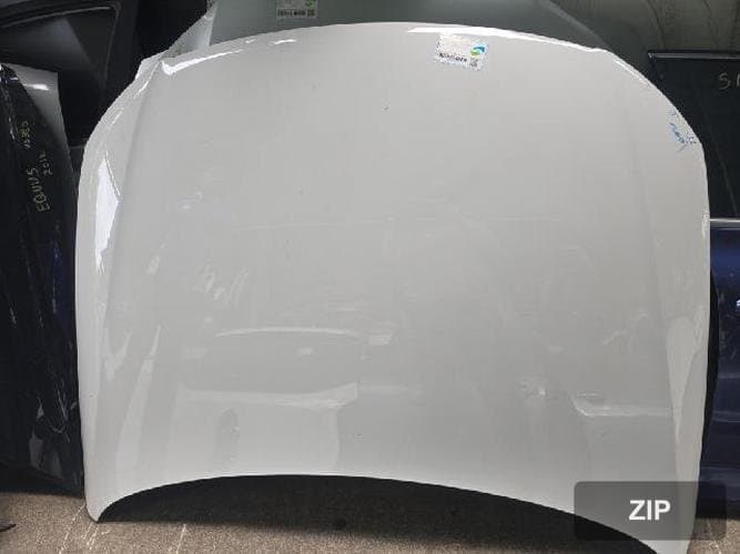 Volkswagen Passat 2009 — капот