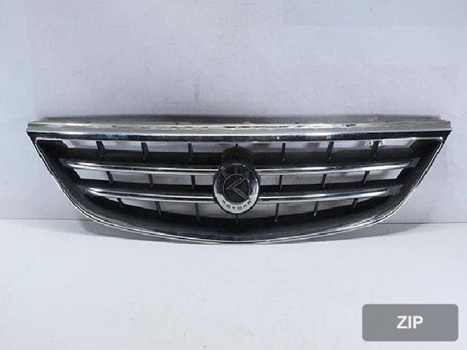 Kia Carens 2004 — решетка радиатора