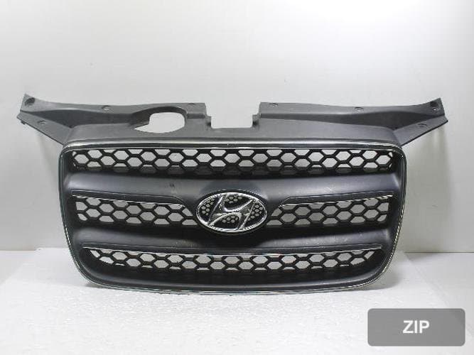 Hyundai Santa Fe 2009 — решетка радиатора