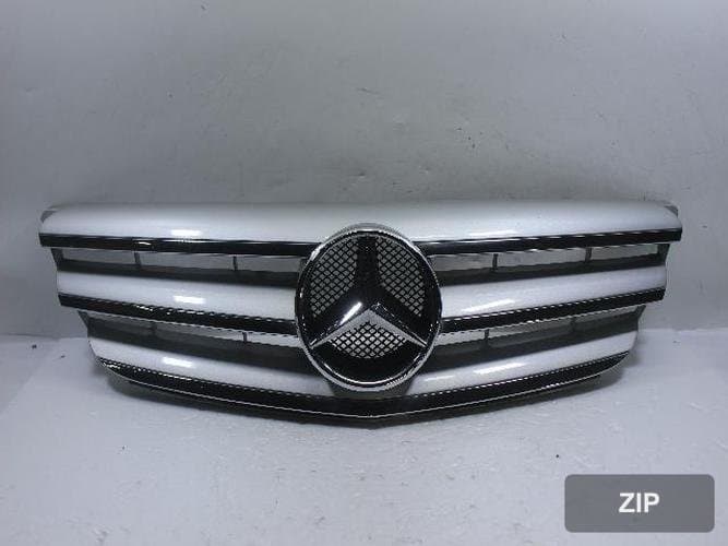 Mercedes-Benz B-Class 2008 — решетка радиатора