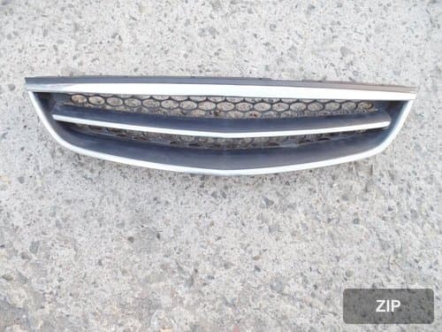 Radiator grille Spectra Wing