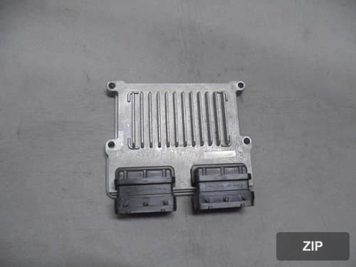 ECU 391113E438