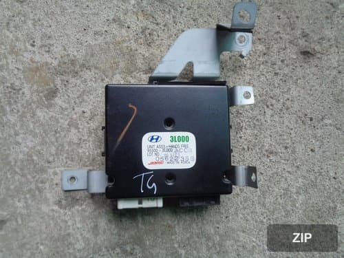 Блок управления hands-free 955003L000